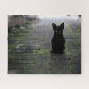 Black Kitten Jigzaag Puzzle Legpuzzel