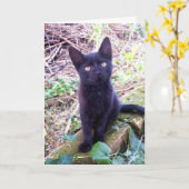 Black Kitten Kaart (Gele Bloem)