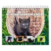 Black Kitten Kalender (Hoes)