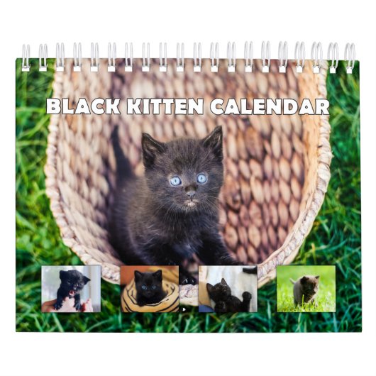 Black Kitten Kalender (Hoes)