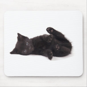 black kitten muismat