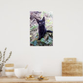 Black Kitten Poster (Keuken)