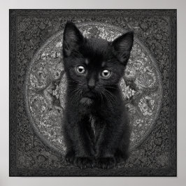 Black Kitten Poster