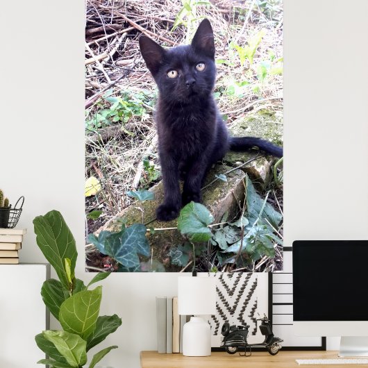 Black Kitten Poster (Thuiskantoor)