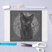 Black Kitten Tissuepapier (Craft)
