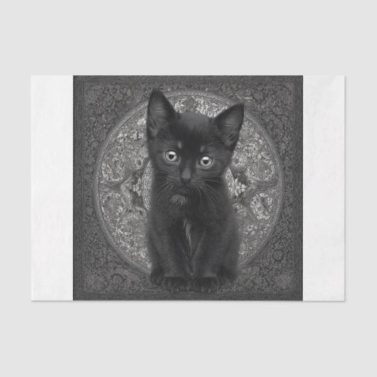 Black Kitten Tissuepapier (Voorkant)