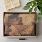 Black Kitten Trio Illustratie Decoupage Tissuepapier (Geschenk)