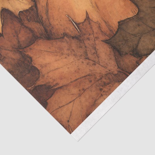 Black Kitten Trio Illustratie Decoupage Tissuepapier (Detail)