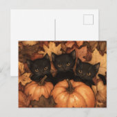 Black Kitten Trio Illustration Briefkaart (Voorkant / Achterkant)