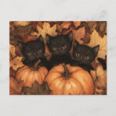 Black Kitten Trio Illustration Briefkaart (Voorkant)