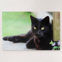Black Kitty Cat Cute Fun Animal Jigzaag Puzzle