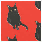 Black Kitty Cat Photography Fabric Stof (Close Up)