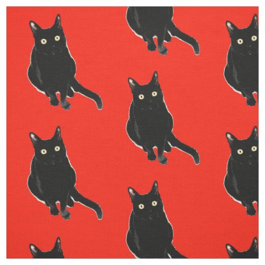 Black Kitty Cat Photography Fabric Stof (Swatch)