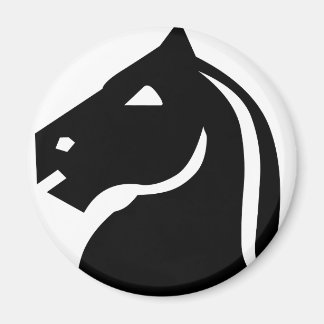 Black Knight Magneet
