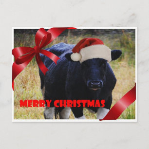 Black Koe Merry Kerstmis Briefkaart