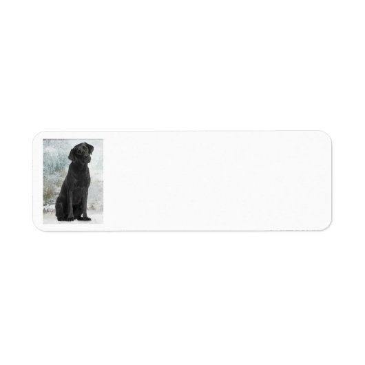 Black Lab-adreslabels voor retourzendingen Etiket (Voorkant)