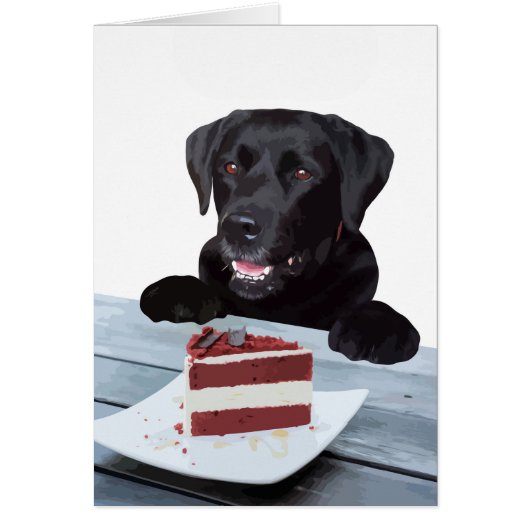Black Lab All Occasion Card - Dog Cake Birthday (Voorkant)