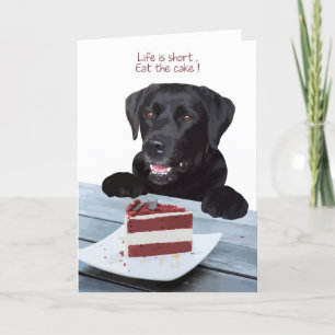 Black Lab All Occasion Card - Dog Cake Birthday Kaart