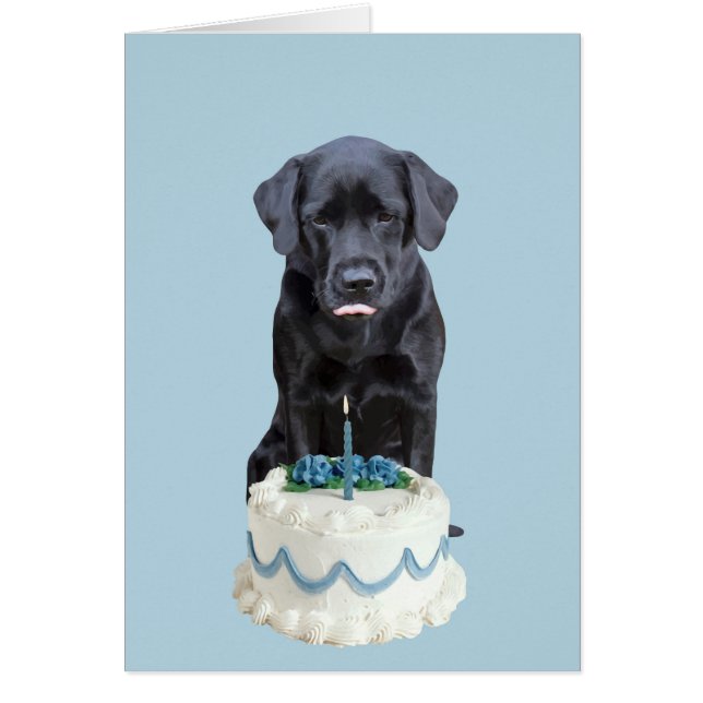 Black Lab All Occasion Kaart - Dog Cake Birthday (Voorkant)