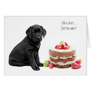Black Lab All Occasion Kaart - Dog Cake Birthday