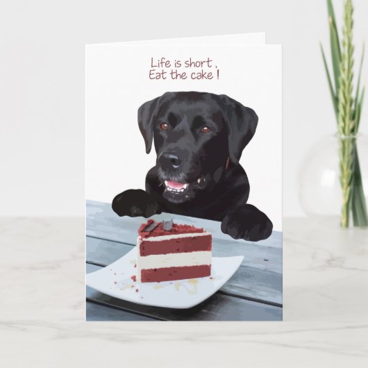 Black Lab All Occasion Kaart - Dog Cake Birthday (Voorkant)