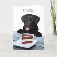 Black Lab All Occasion Kaart - Dog Cake Birthday