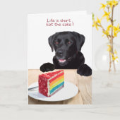 Black Lab All Occasion Kaart - Dog Cake Birthday (Gele Bloem)