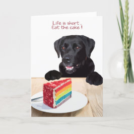 Black Lab All Occasion Kaart - Dog Cake Birthday