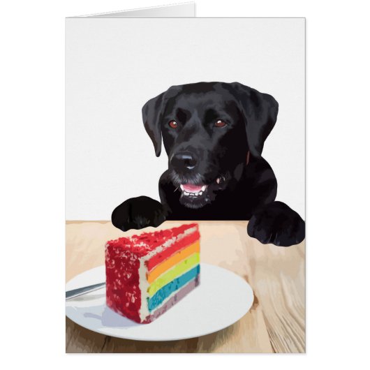 Black Lab All Occasion Kaart - Dog Cake Birthday (Voorkant)