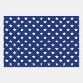 Black Lab Amerikaanse vlag USA Preppy Pet Dog Fun Inpakpapier Vel (Voorkant 3)