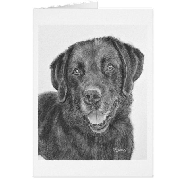 Black Lab Bandit (Voorkant)