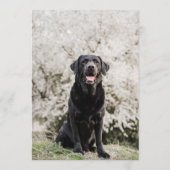 Black Lab Bar Menu (Achterkant)
