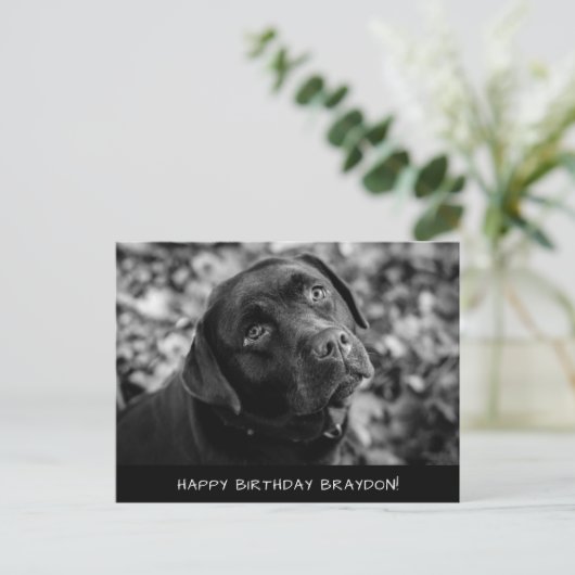 Black Lab Birthday Briefkaart (Staand voorkant)