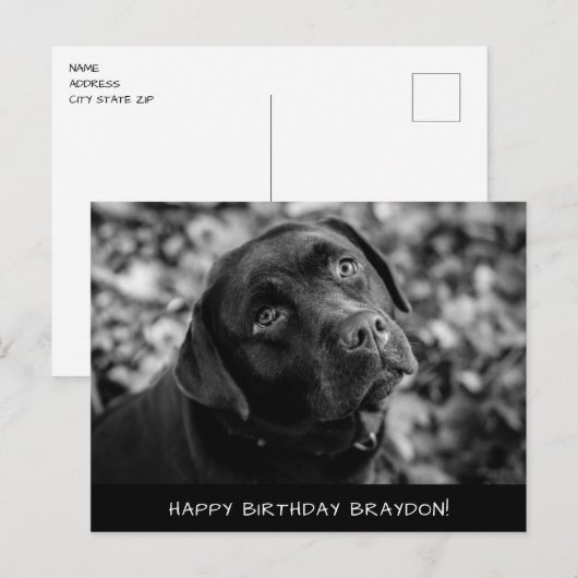 Black Lab Birthday Briefkaart (Voorkant / Achterkant)