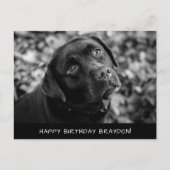 Black Lab Birthday Briefkaart (Voorkant)