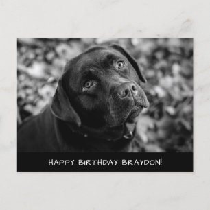 Black Lab Birthday Briefkaart