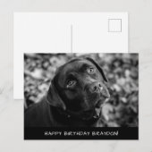 Black Lab Birthday Briefkaart (Voorkant / Achterkant)