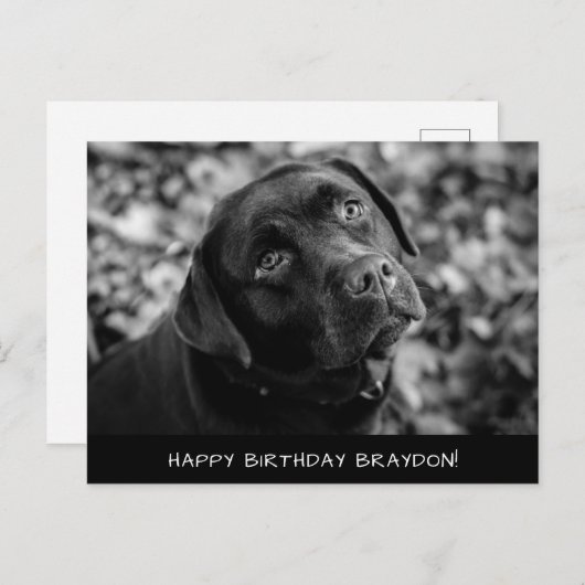 Black Lab Birthday Briefkaart (Voorkant / Achterkant)