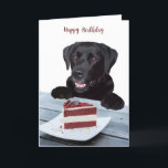 Black Lab Birthday Card - Dog Birthday Card Kaart<br><div class="desc">Black Lab Birthday Card - Dog Birthday Card

Black Lab Happy Birthday Deze kutie zorgt voor iemands dag!
Personaliseer met een speciaal bericht</div>