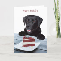 Black Lab Birthday Card - Dog Birthday Card