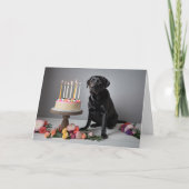 Black Lab Birthday Kaart (Voorkant)