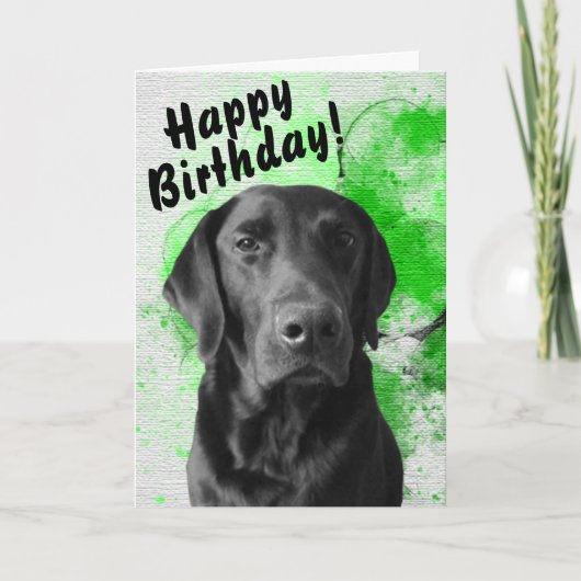 Black Lab  Birthday Kaart Green (Voorkant)