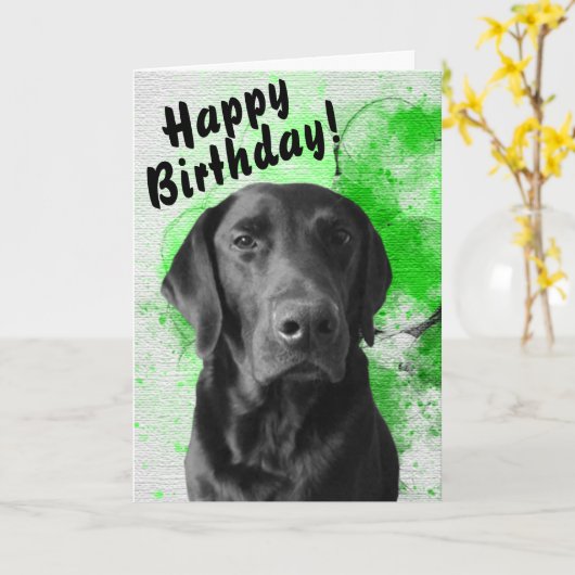 Black Lab  Birthday Kaart Green (Gele Bloem)