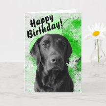 Black Lab  Birthday Kaart Green
