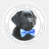 Black Lab Blue Boy Baby shower Bedankt Ronde Sticker (Voorkant)