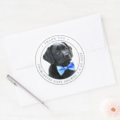 Black Lab Blue Boy Baby shower Bedankt Ronde Sticker (Envelop)