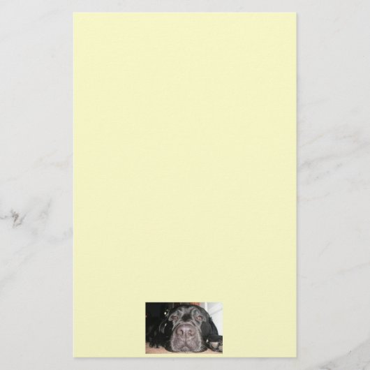 Black Lab Briefpapier (Voorkant)