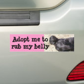 Black Lab Bumpersticker (Op auto)