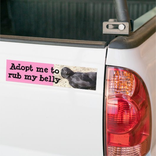 Black Lab Bumpersticker (Op Truck)