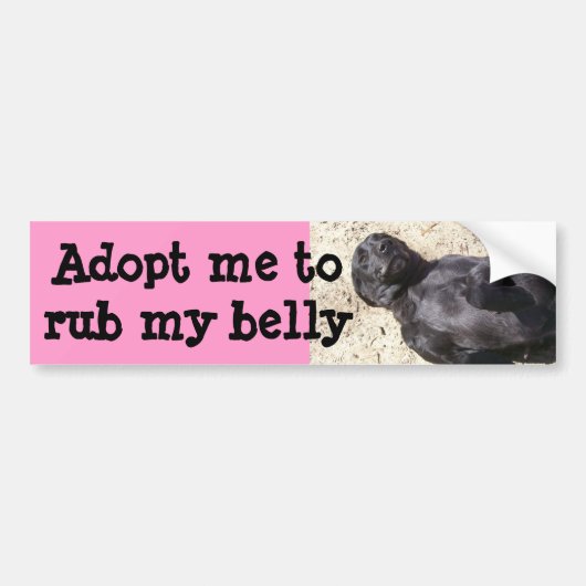 Black Lab Bumpersticker (Voorkant)